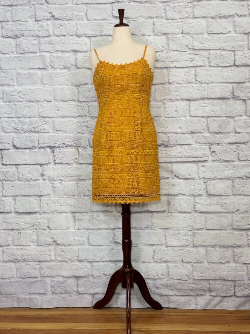 Dress the Population Marigold Lace Mini Dress